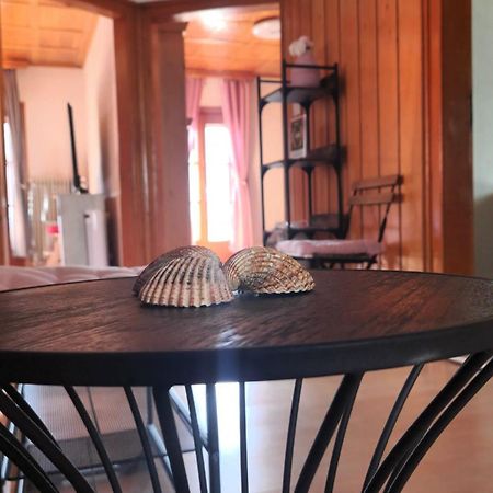 Ela Vital Ferienwohnung St. Blasien Luaran gambar