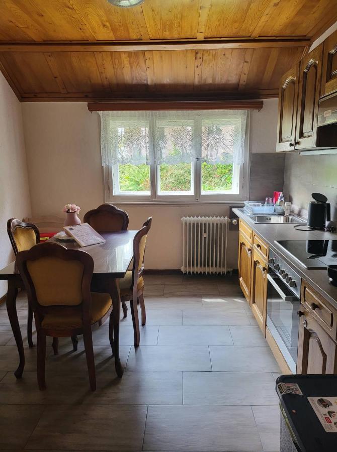 Ela Vital Ferienwohnung St. Blasien Luaran gambar