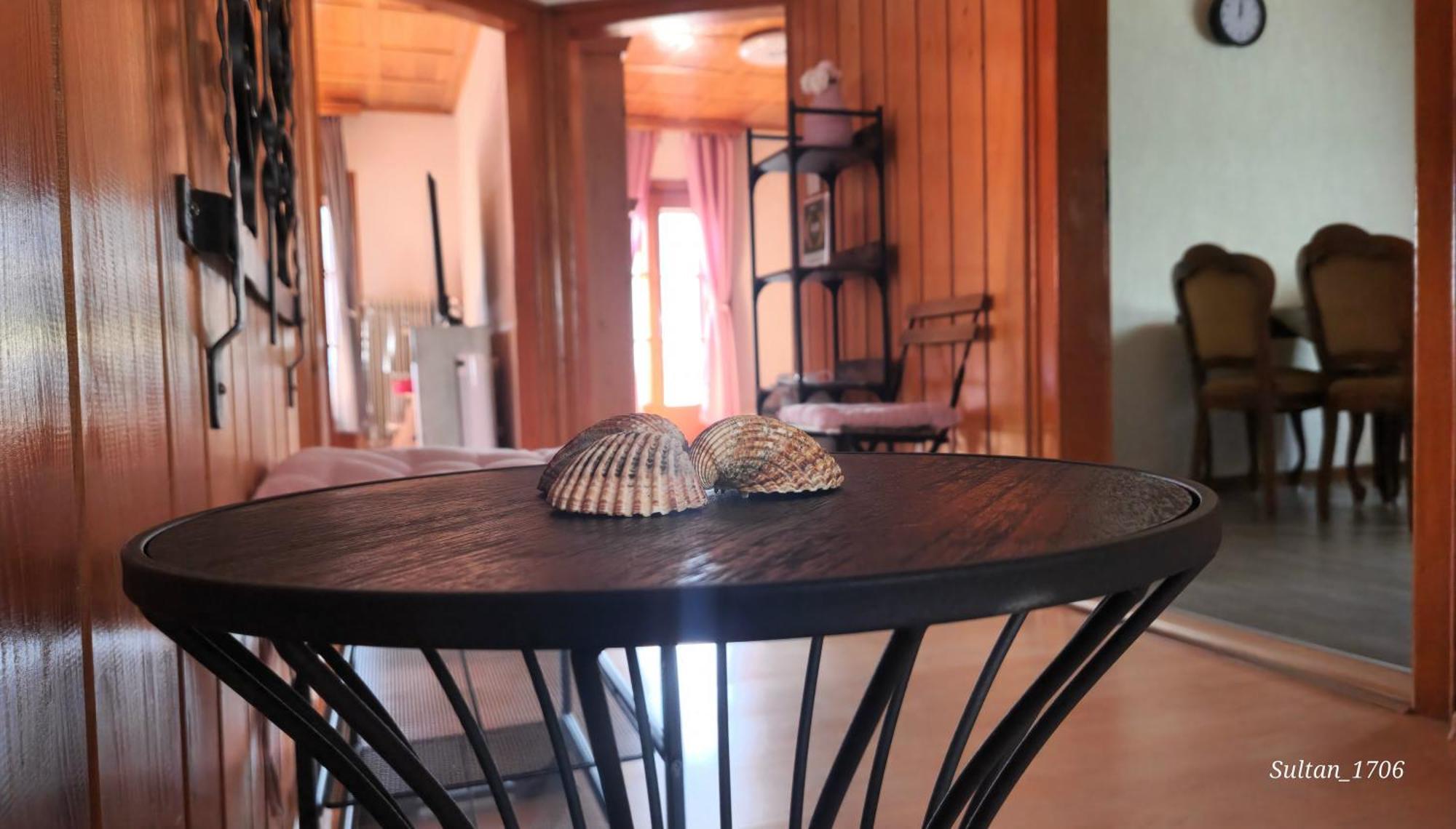 Ela Vital Ferienwohnung St. Blasien Luaran gambar